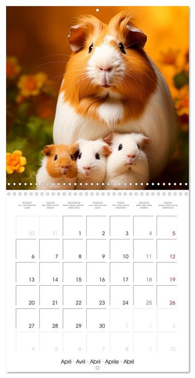 Produktbild: Sweet GUINEA PIGS (Wall Calendar 2026 12 &times; 12 Inch) CALVENDO 12 Month Wall Calendar