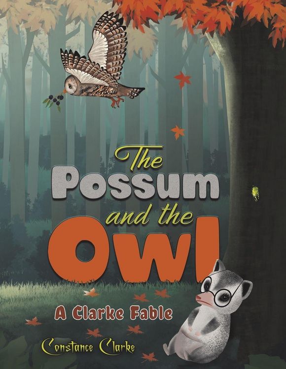 Produktbild: The Possum and the Owl