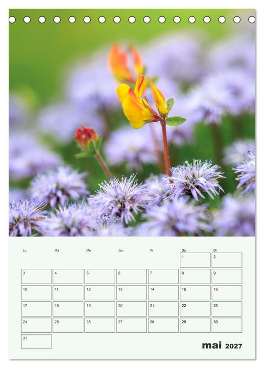 Produktbild: Les fleurs, &eacute;ternelles &eacute;phem&egrave;res (Calendrier de bureau 2027 DIN A5 horizontal), CALVENDO calendrier mensuel