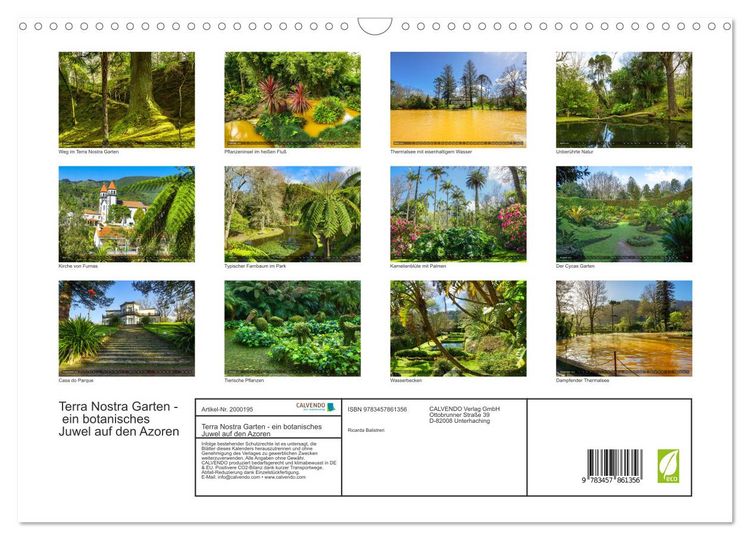 Produktbild: Terra Nostra Garten - ein botanisches Juwel auf den Azoren (Wandkalender 2026 DIN A3 quer), CALVENDO Monatskalender