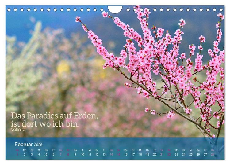 Produktbild: FASZINATION MANDELBL&Uuml;TE (Wandkalender 2026 DIN A4 quer), CALVENDO Monatskalender