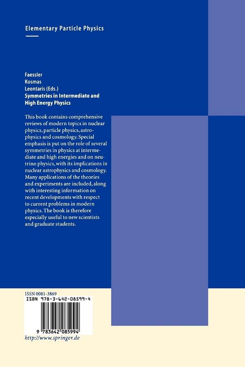 Produktbild: Symmetries in Intermediate and High Energy Physics