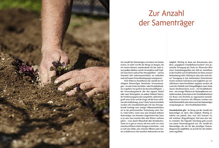 Produktbild: Handbuch Sameng&auml;rtnerei