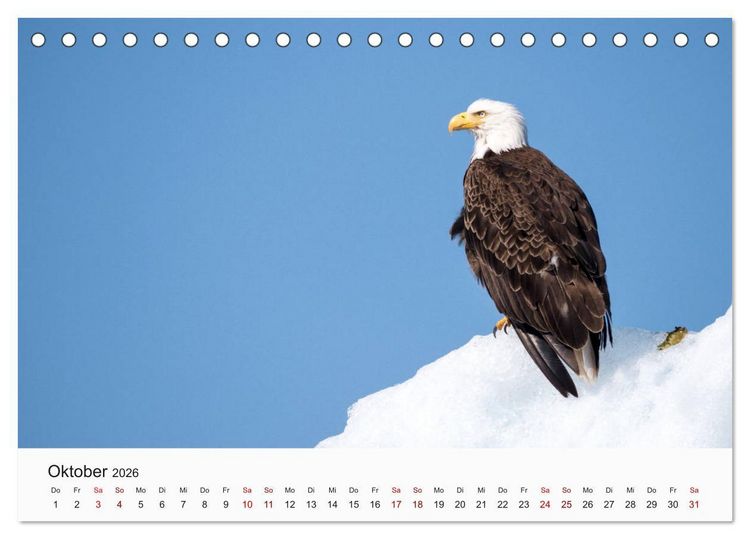 Produktbild: V&ouml;gel - Die K&ouml;nige der L&uuml;fte (Tischkalender 2026 DIN A5 quer), CALVENDO Monatskalender