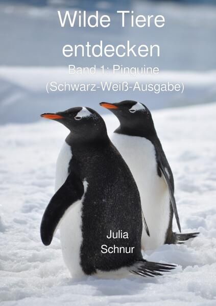 Produktbild: Wilde Tiere entdecken