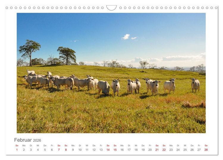Produktbild: Costa Rica - unterwegs mit Julia Hahn (Wandkalender 2026 DIN A3 quer), CALVENDO Monatskalender