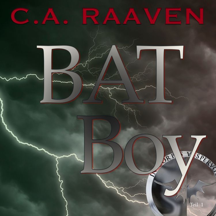 Produktbild: BAT Boy 1