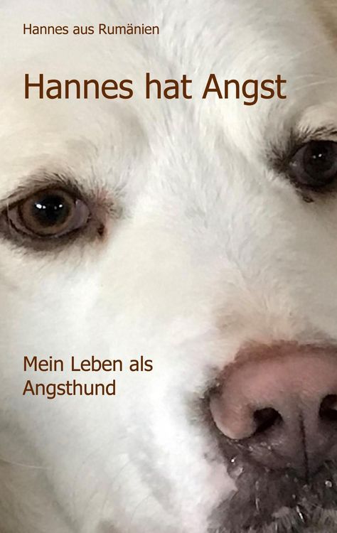 Produktbild: Hannes hat Angst