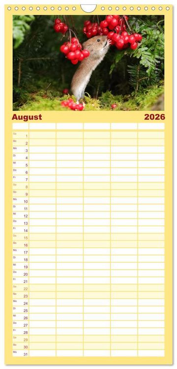 Produktbild: Familienplaner 2026 - Die R&ouml;telmaus - neugierig und verfressen mit 5 Spalten (Wandkalender, 21 x 45 cm) CALVENDO