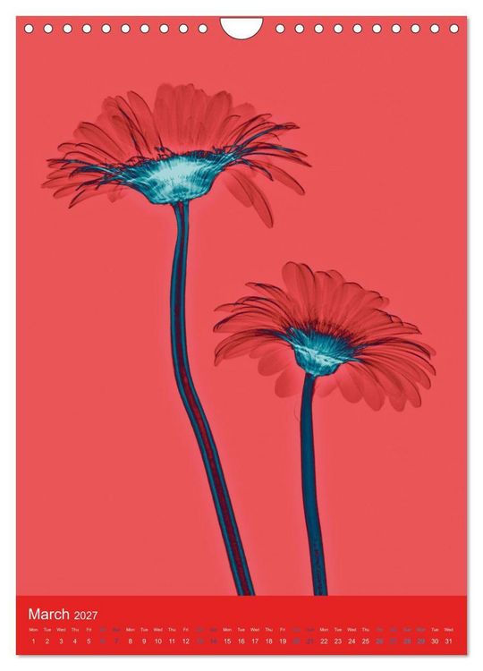 Produktbild: Blossoms between light and colour (Wall Calendar 2027 DIN A4 portrait), CALVENDO 12 Month Wall Calendar