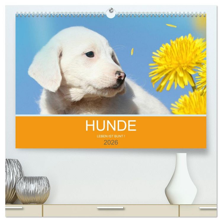 Produktbild: HUNDE LEBEN IST BUNT (hochwertiger Premium Wandkalender 2026 DIN A2 quer), Kunstdruck in Hochglanz