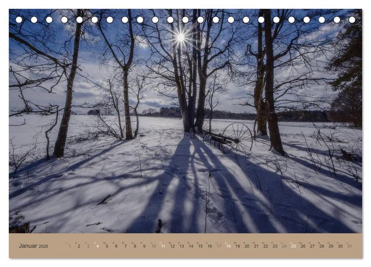 Produktbild: Unser Wald - Magische Sichten in norddeutsche W&auml;lder (Tischkalender 2026 DIN A5 quer), CALVENDO Monatskalender