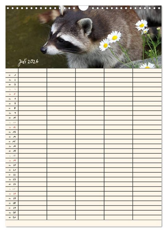 Produktbild: Waschb&auml;ren Familienplaner (Wandkalender 2026 DIN A3 hoch), CALVENDO Monatskalender