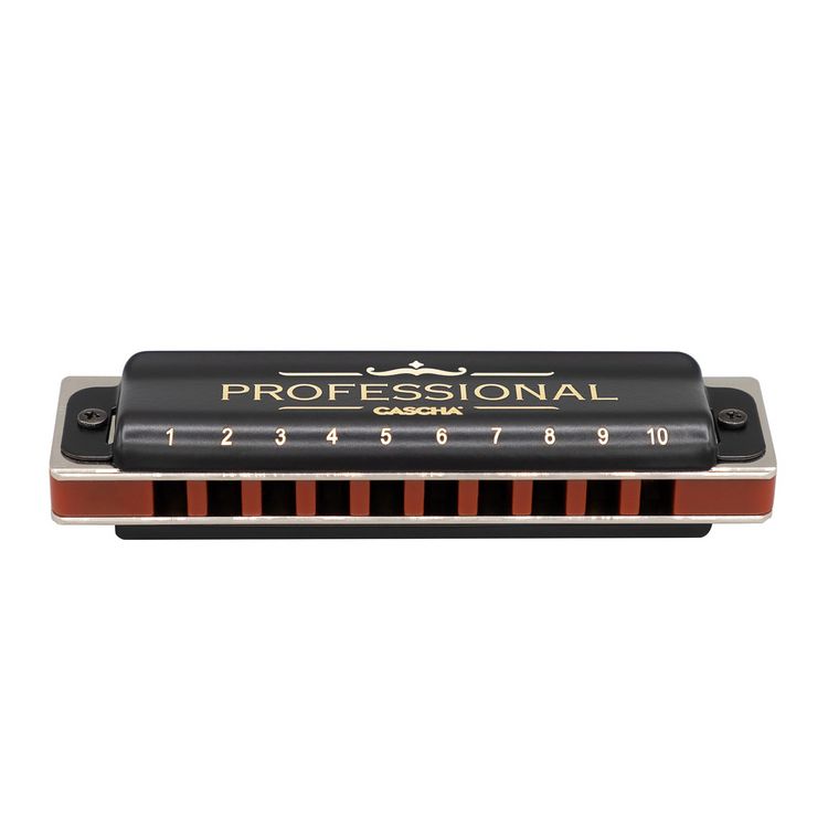 Produktbild: Professional Blues Harmonica in A (incl. case and cleaning cloth)