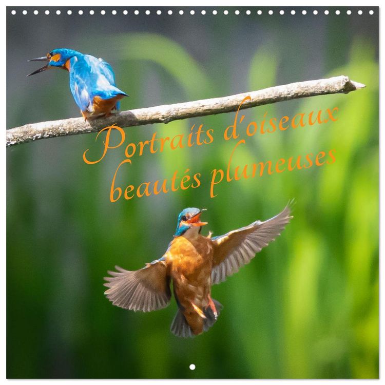 Produktbild: Portraits d'oiseaux des beaut&eacute;s plumeuses (Calendrier mural carr&eacute; 2026 30x30 cm) Calendrier double avec une page pour vos prises de notes