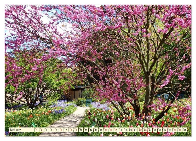 Produktbild: Weinheim im Herzen der Bergstra&szlig;e (Wandkalender 2027 DIN A2 quer), CALVENDO Monatskalender
