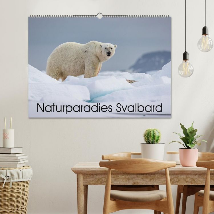 Produktbild: Naturparadies Svalbard (Wandkalender 2026 DIN A2 quer), CALVENDO Monatskalender