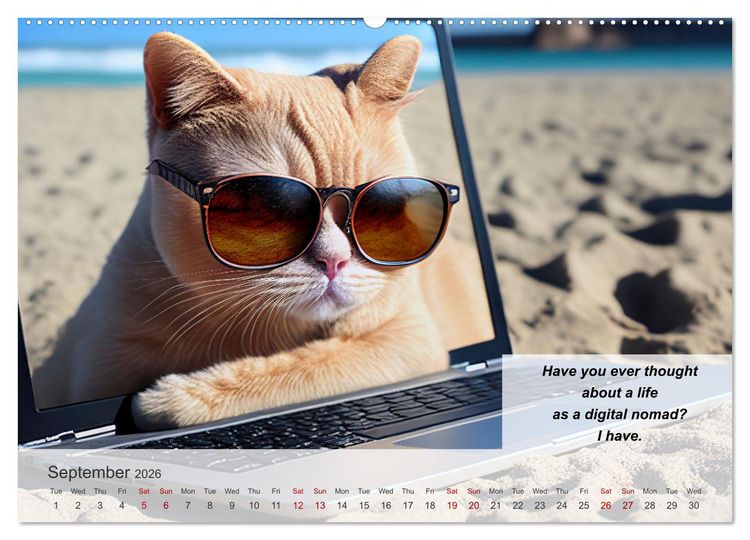Produktbild: The humoristic cat guide (Wall Calendar 2026 DIN A2 landscape), CALVENDO 12 Month Wall Calendar