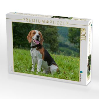Produktbild: CALVENDO Puzzle Traumhund Beagle | 1000 Teile Lege-Gr&ouml;&szlig;e 64x48cm Foto-Puzzle f&uuml;r gl&uuml;ckliche Stunden