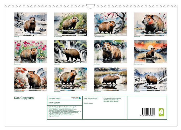 Produktbild: Das Capybara (Wandkalender 2026 DIN A3 quer), CALVENDO Monatskalender