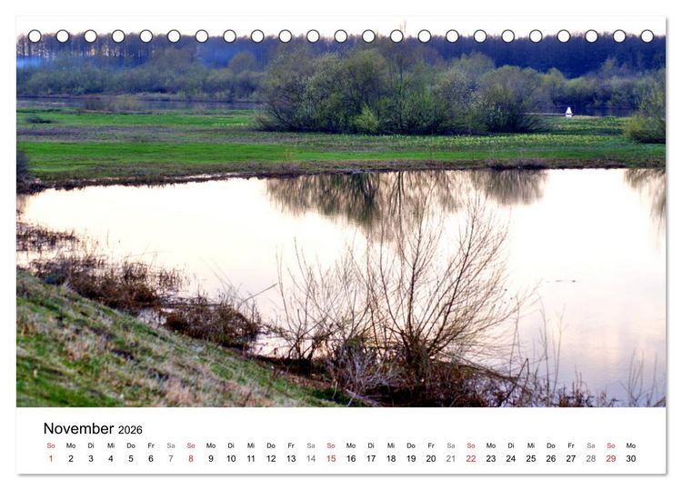 Produktbild: Elchniederung - Naturparadies in Ostpreu&szlig;en (Tischkalender 2026 DIN A5 quer), CALVENDO Monatskalender