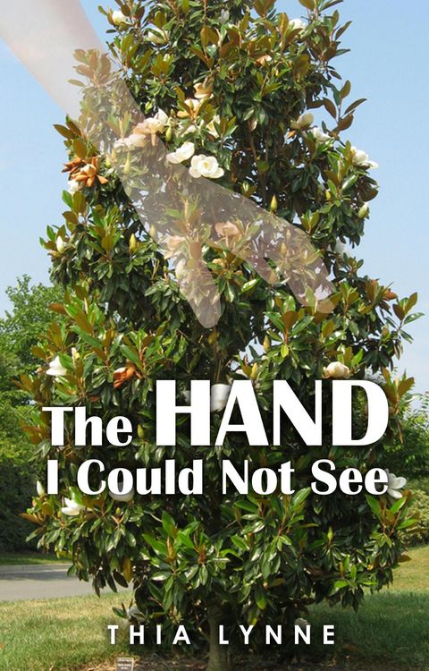 Produktbild: The Hand I Could Not See