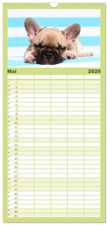 Produktbild: Familienplaner 2026 - Der Bully - Kalender Familienplaner hoch mit 5 Spalten (Wandkalender, 21 x 45 cm) CALVENDO