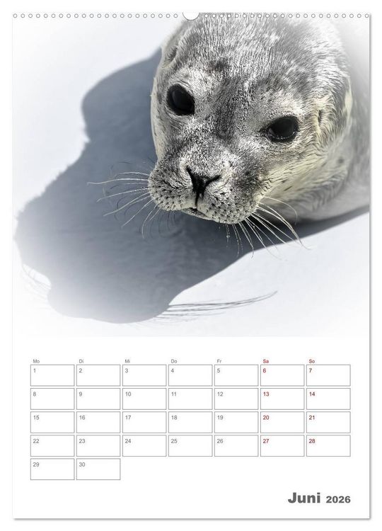 Produktbild: Texel - Momente die verzaubern (Wandkalender 2026 DIN A2 hoch), CALVENDO Monatskalender