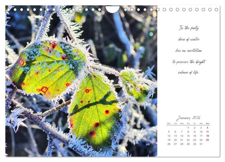 Produktbild: Golden breaks with mindfulness (Wall Calendar 2026 DIN A4 landscape), CALVENDO 12 Month Wall Calendar