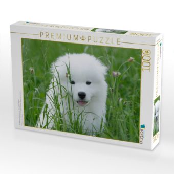 Produktbild: CALVENDO Puzzle Ein Motiv aus dem Kalender Samojeden Welpen | 1000 Teile Lege-Gr&ouml;&szlig;e 64x48cm Foto-Puzzle f&uuml;r gl&uuml;ckliche Stunden
