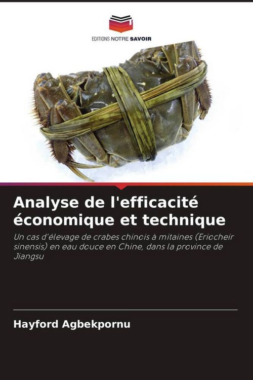 Produktbild: Analyse de l'efficacit&eacute; &eacute;conomique et technique