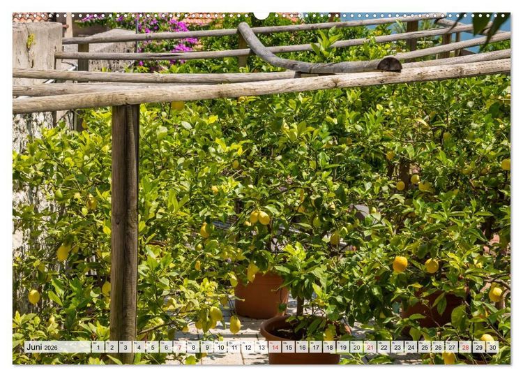 Produktbild: GARDASEE Idyllisches Limone sul Garda (hochwertiger Premium Wandkalender 2026 DIN A2 quer), Kunstdruck in Hochglanz