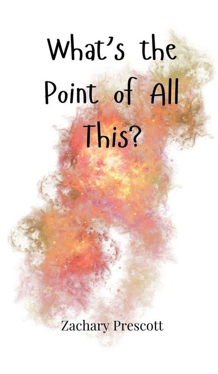 Produktbild: What's the Point of All This?