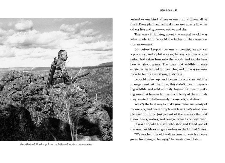 Produktbild: Nature's Best Hope (Young Readers' Edition)