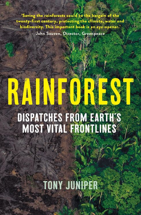 Produktbild: Rainforest