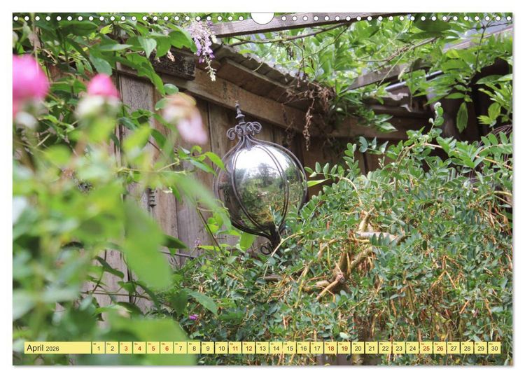 Produktbild: Gartentr&auml;umerei (Wandkalender 2026 DIN A3 quer), CALVENDO Monatskalender