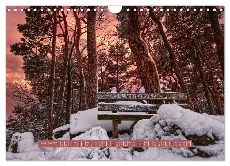 Produktbild: Magischer Pf&auml;lzer Wald (Wandkalender 2026 DIN A4 quer), CALVENDO Monatskalender