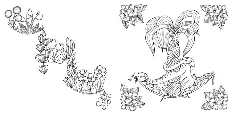 Produktbild: Tropical Flowers &ndash; Exotische Blumen- und Pflanzen-Motive ausmalen