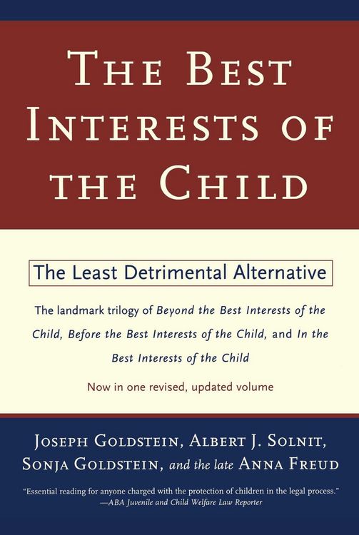 Produktbild: The Best Interests of the Child