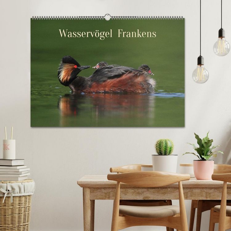 Produktbild: Wasserv&ouml;gel Frankens (Wandkalender 2026 DIN A2 quer), CALVENDO Monatskalender