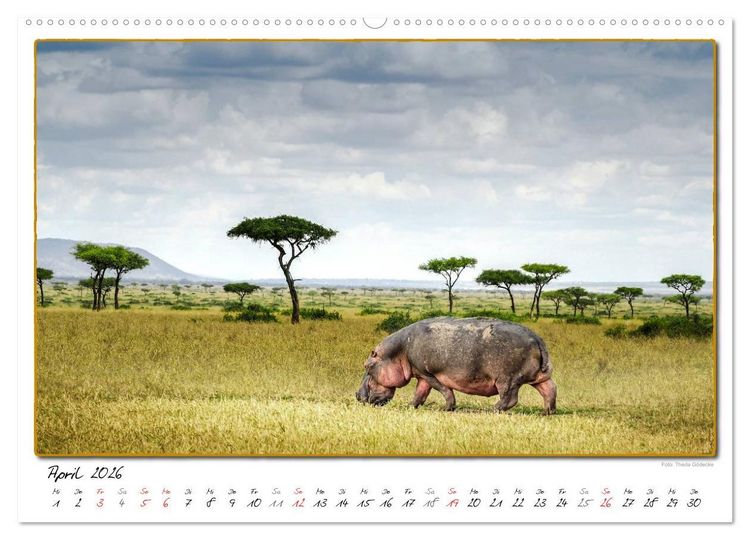 Produktbild: Abenteuer Masai Mara (hochwertiger Premium Wandkalender 2026 DIN A2 quer), Kunstdruck in Hochglanz