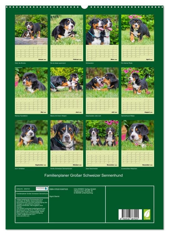 Produktbild: Familienplaner Gro&szlig;er Schweizer Sennenhund (hochwertiger Premium Wandkalender 2026 DIN A2 hoch), Kunstdruck in Hochglanz
