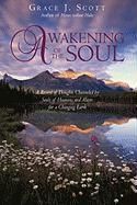 Produktbild: Awakening of the Soul