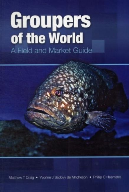 Produktbild: Heemstra, O: Groupers of the World
