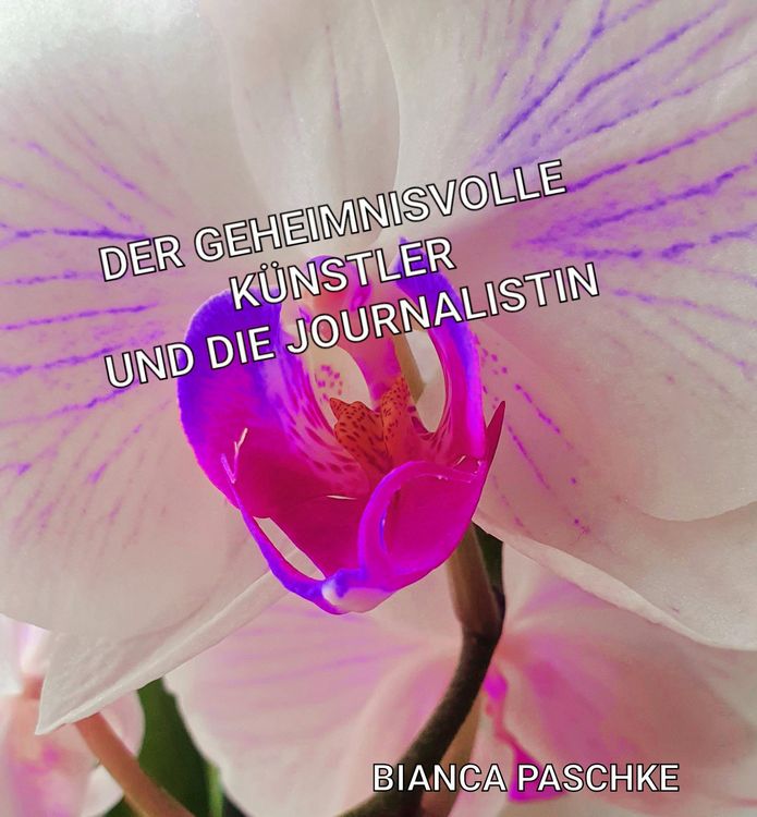 Produktbild: Der geheimnisvolle K&uuml;nstler und die Journalistin