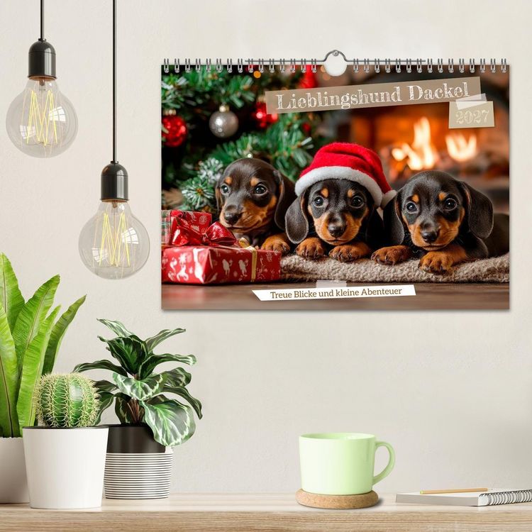 Produktbild: Lieblingshund Dackel (Wandkalender 2027 DIN A4 quer), CALVENDO Monatskalender