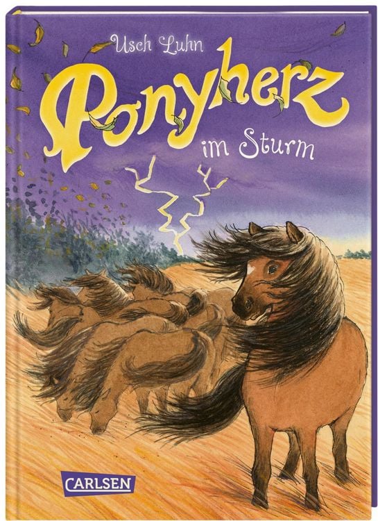 Produktbild: Ponyherz 14: Ponyherz im Sturm