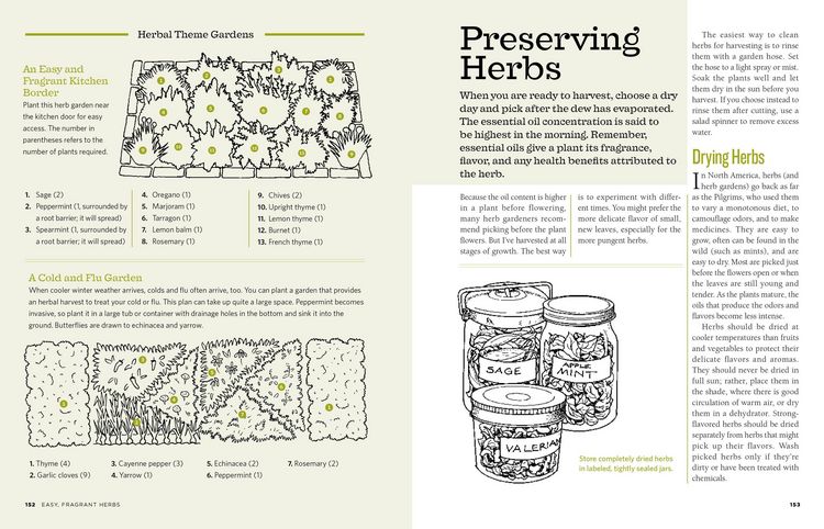 Produktbild: The Backyard Homestead