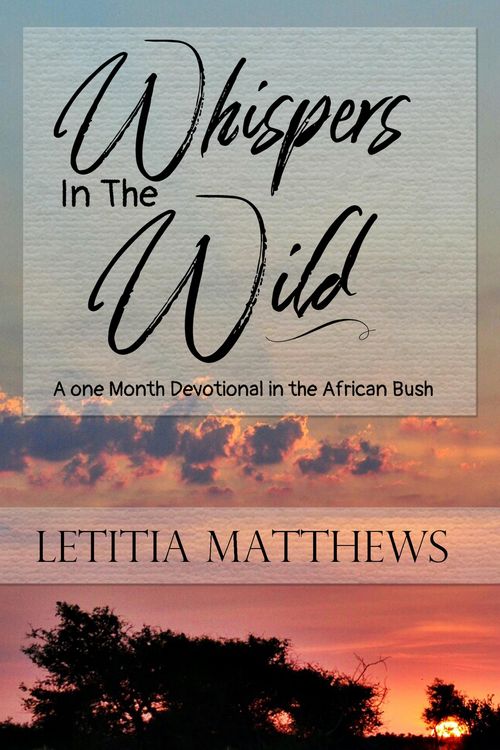 Produktbild: Whispers In The Wild