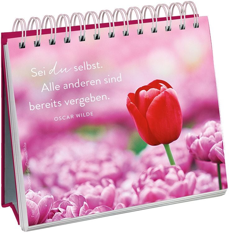 Produktbild: 100 kleine Herzenswünsche für dich